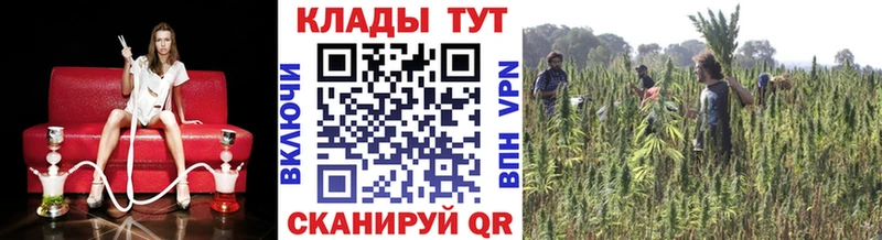 Купить закладку Cocaine  Марихуана  Меф  Вейп ТГК  ГАШИШ  АМФ  Заринск