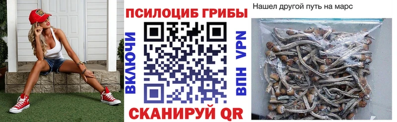 Купить  Заринск  Псилоцибиновые грибы прущие грибы 