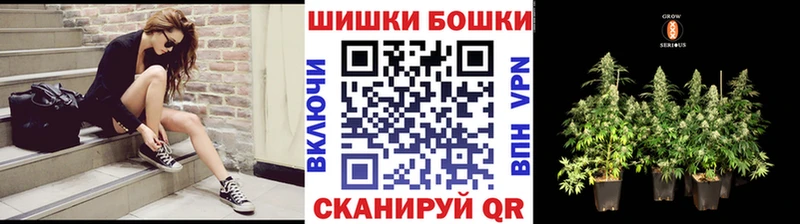 Бошки марихуана планчик  Купить закладки  Заринск 